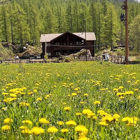 Chalet Rosa dei Monti Piamprato Esterno foto