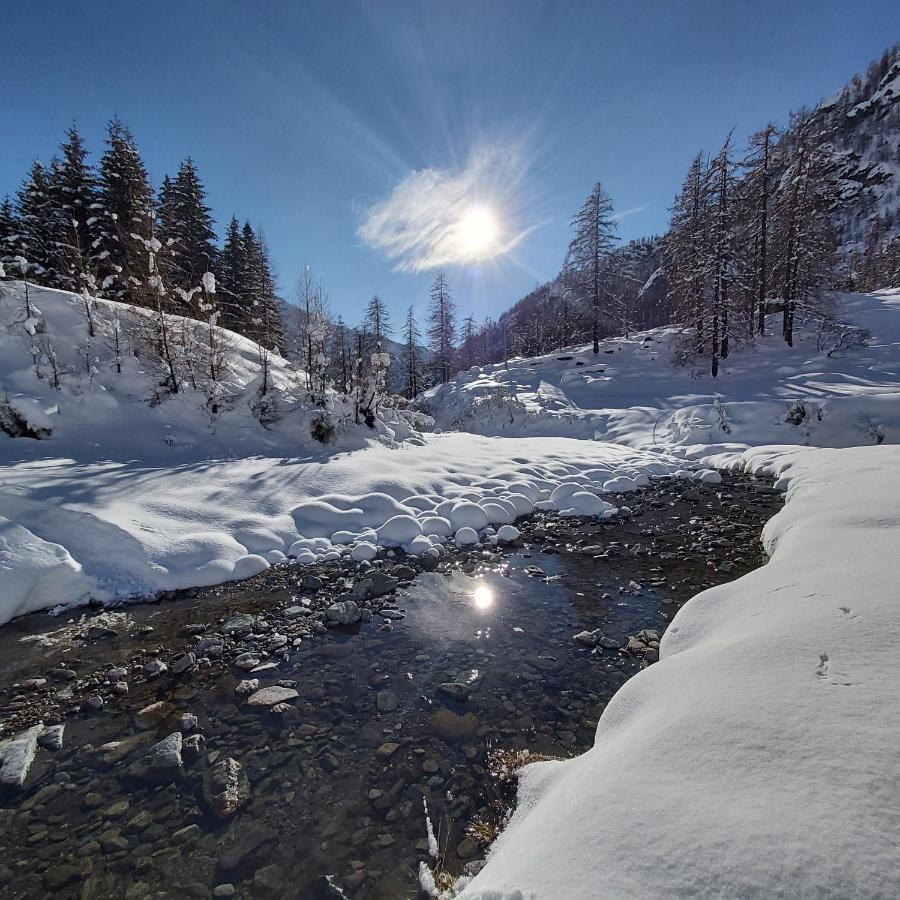 Chalet Rosa dei Monti Piamprato Esterno foto