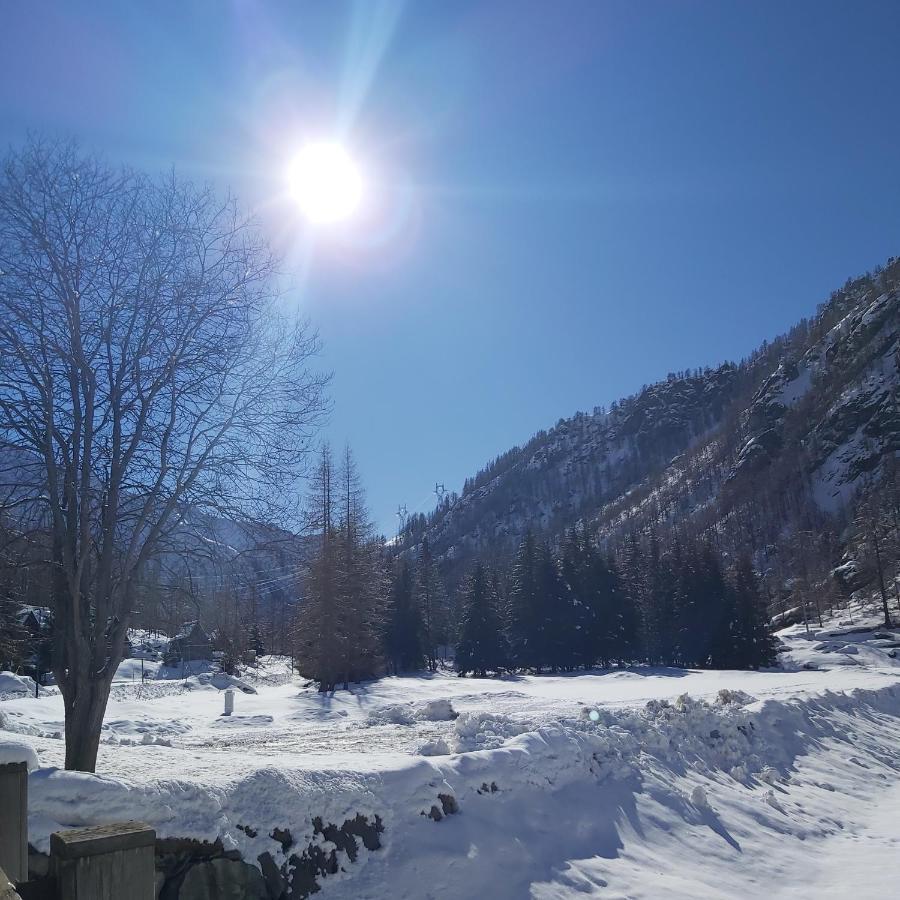 Chalet Rosa dei Monti Piamprato Esterno foto