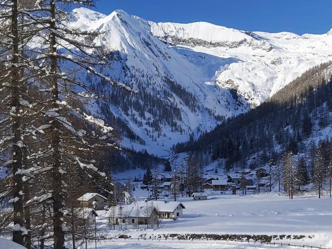 Chalet Rosa dei Monti Piamprato Esterno foto