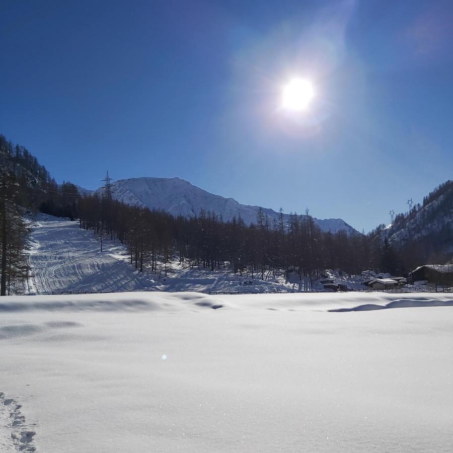 Chalet Rosa dei Monti Piamprato Esterno foto