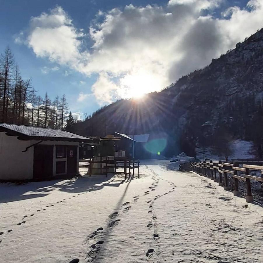 Chalet Rosa dei Monti Piamprato Esterno foto