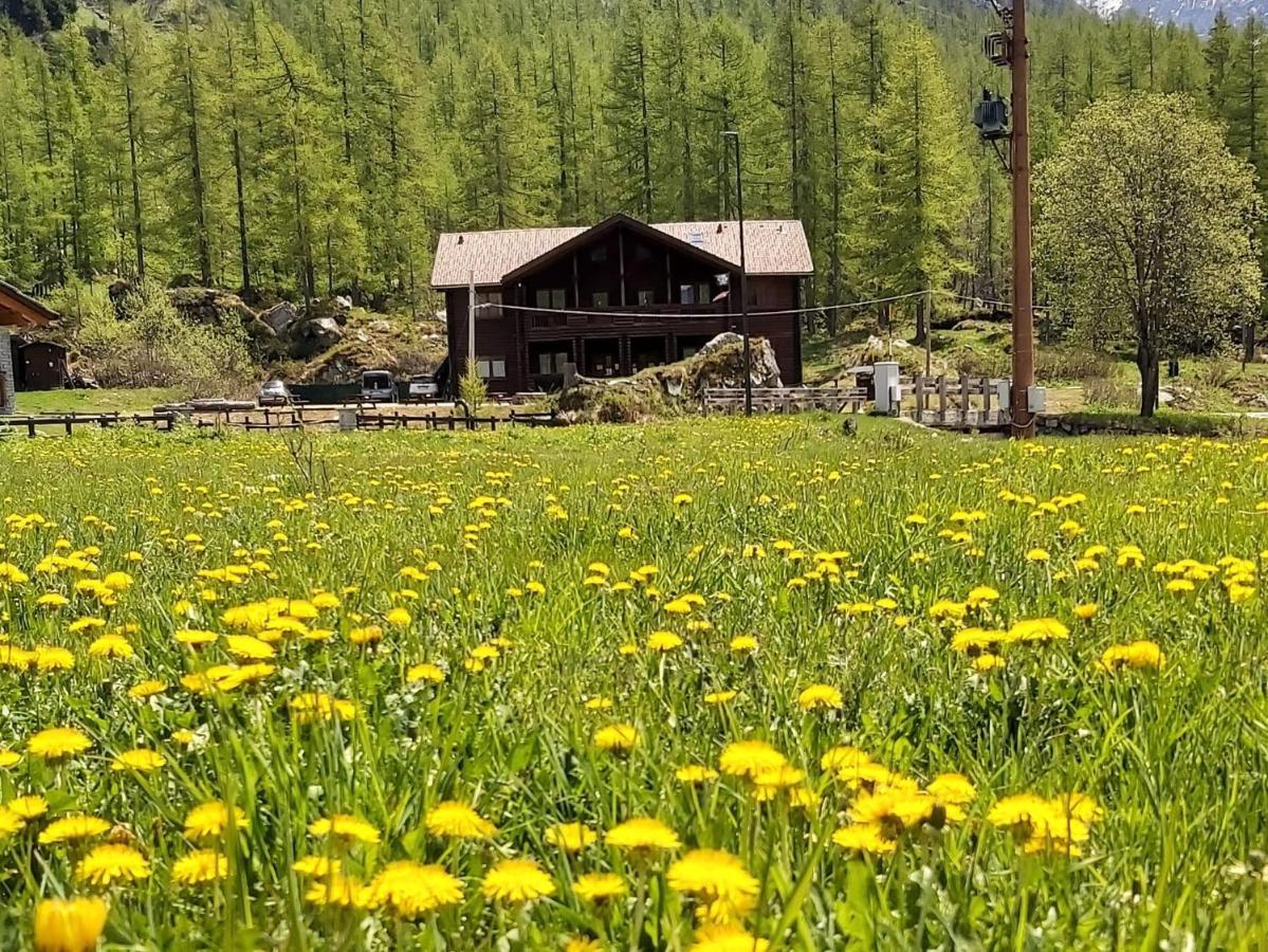 Chalet Rosa dei Monti Piamprato Esterno foto