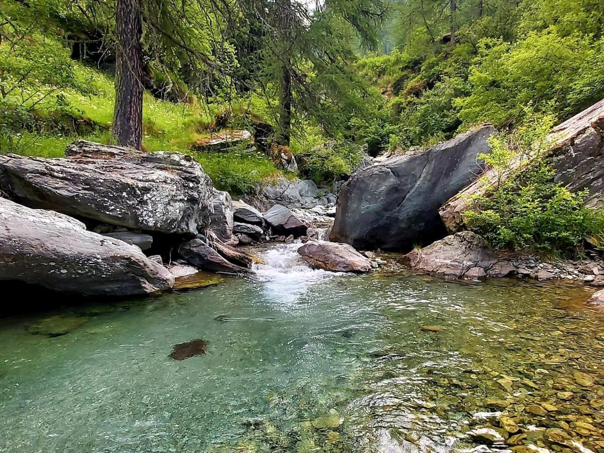 Chalet Rosa dei Monti Piamprato Esterno foto