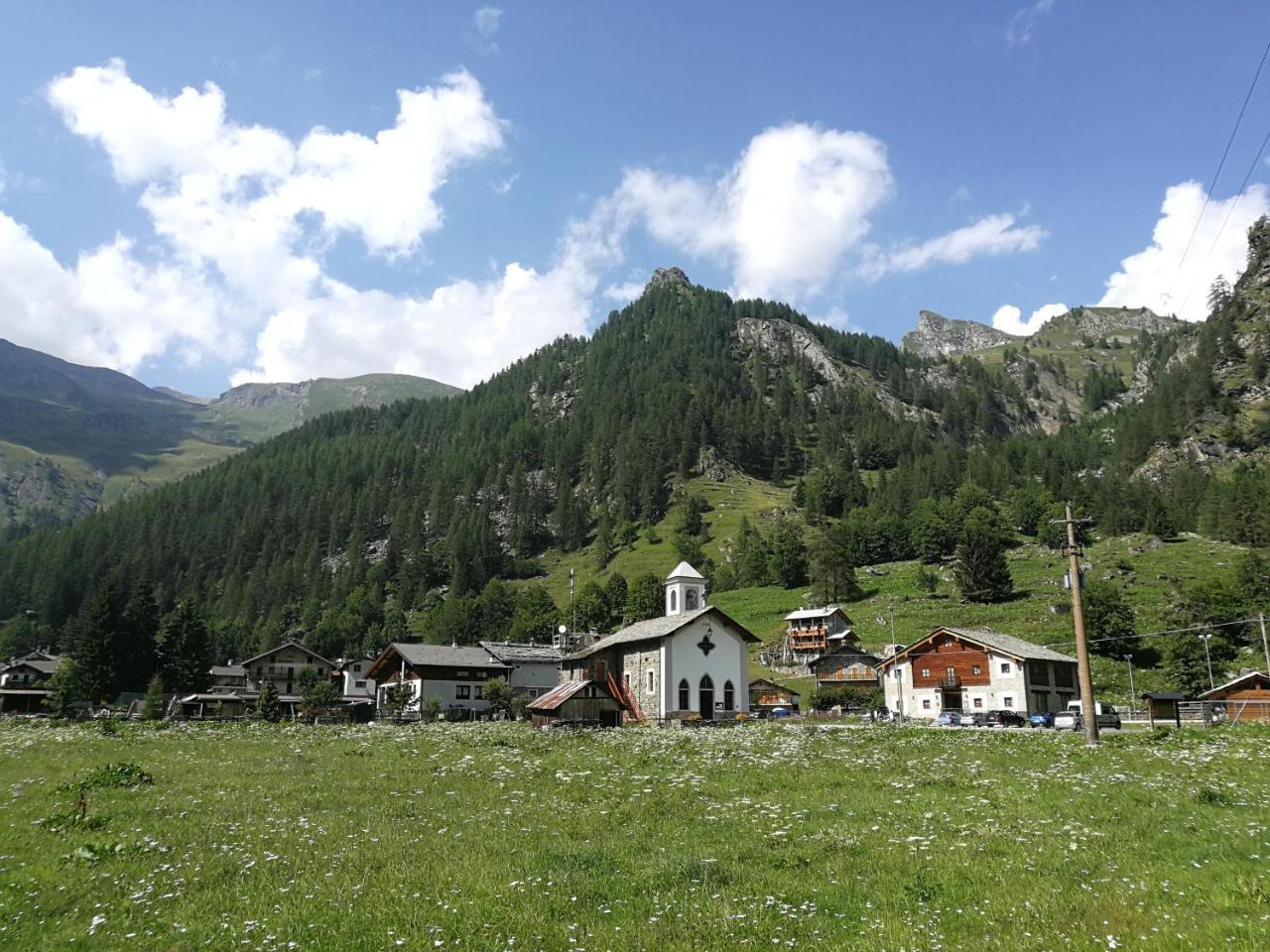 Chalet Rosa dei Monti Piamprato Esterno foto