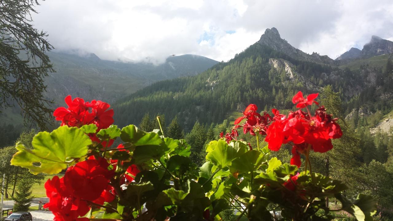 Chalet Rosa dei Monti Piamprato Esterno foto