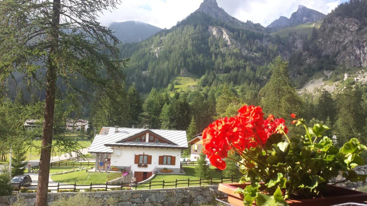Chalet Rosa dei Monti Piamprato Esterno foto