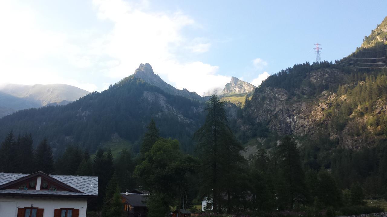 Chalet Rosa dei Monti Piamprato Esterno foto