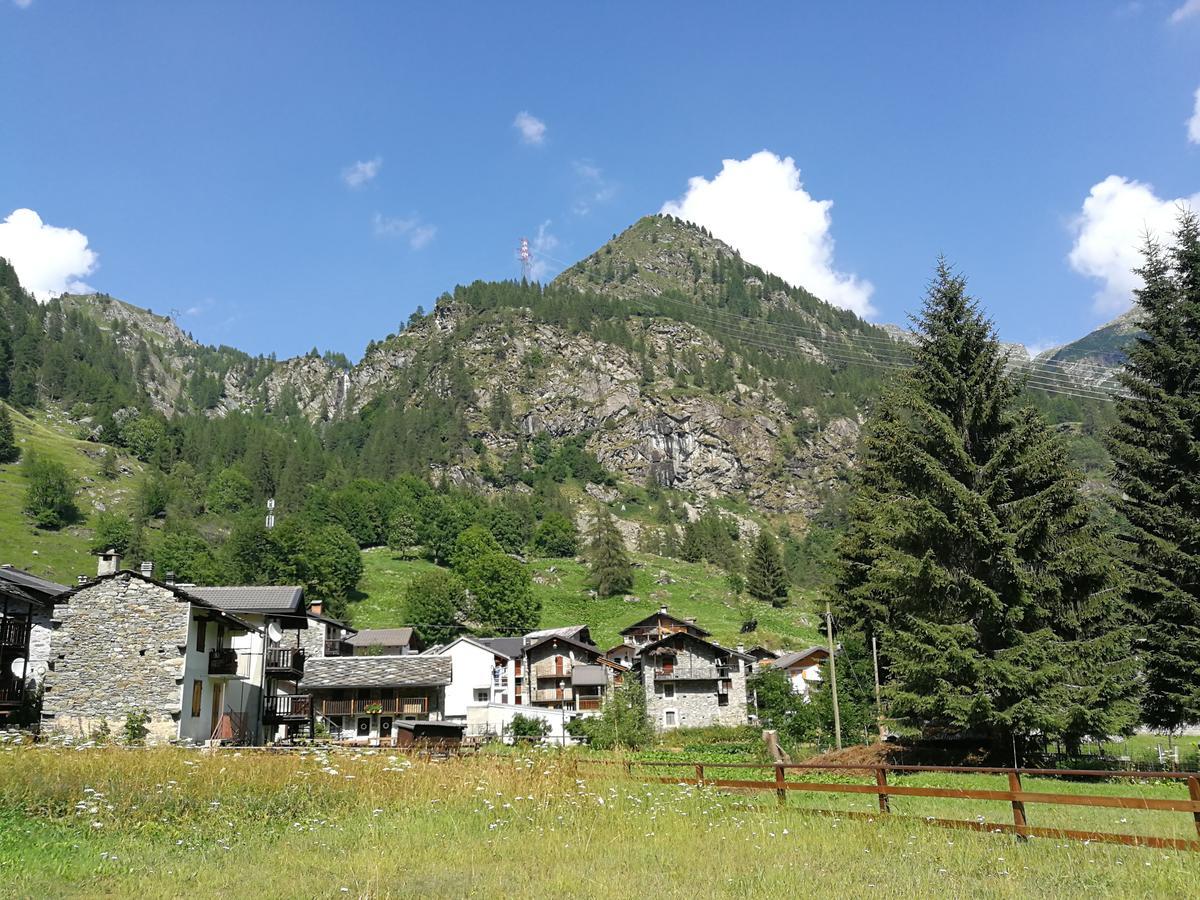 Chalet Rosa dei Monti Piamprato Esterno foto