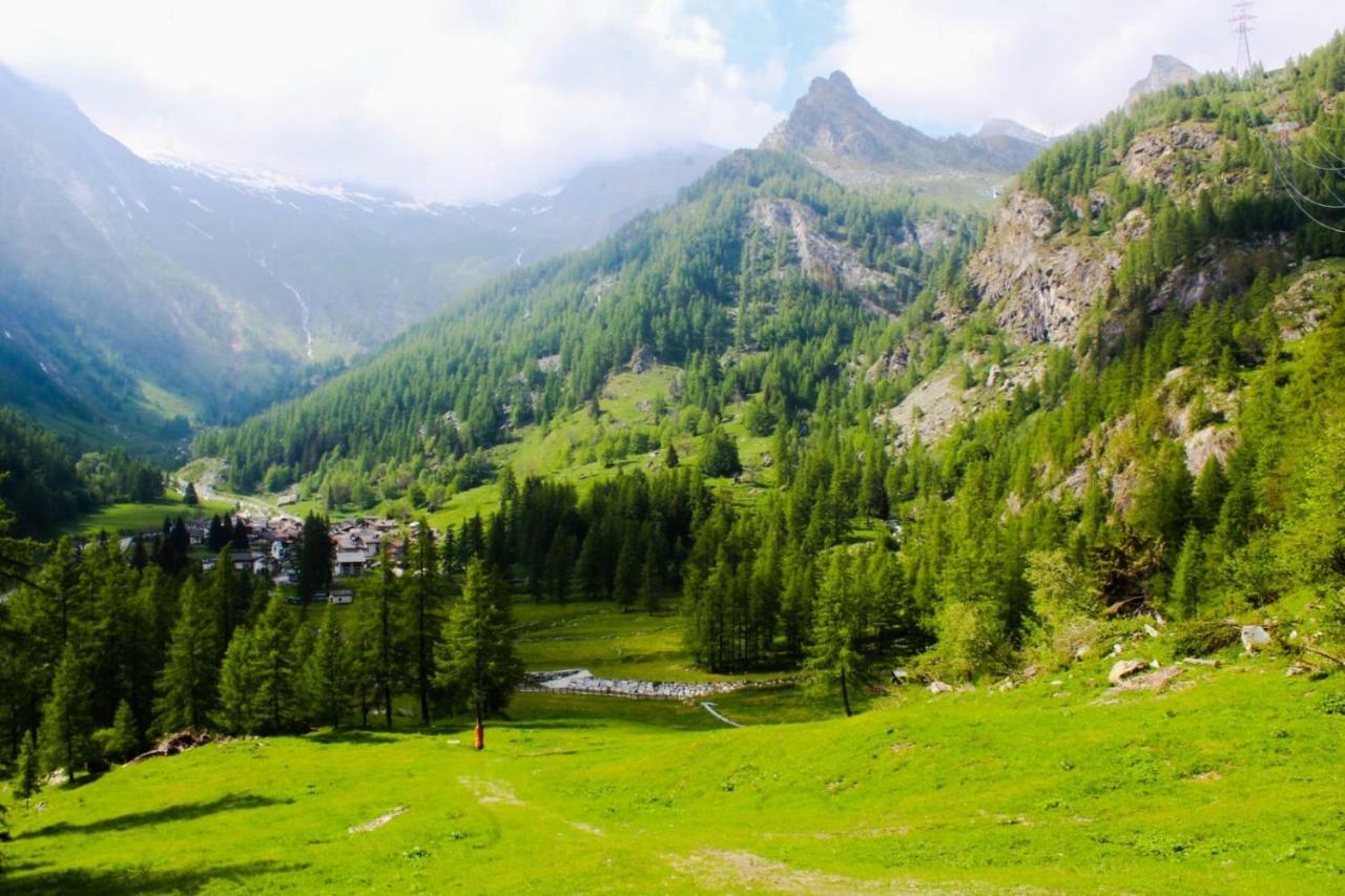 Chalet Rosa dei Monti Piamprato Esterno foto