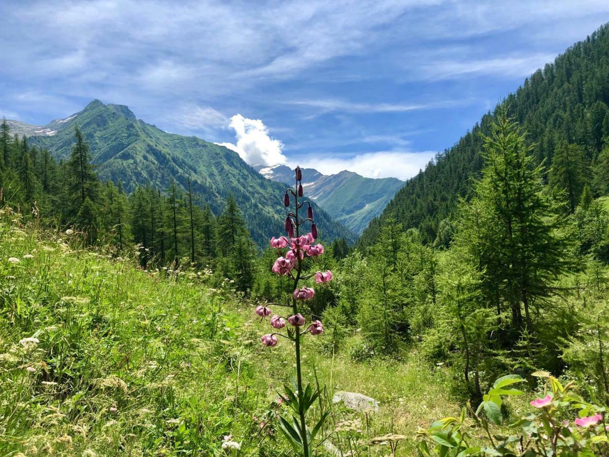 Chalet Rosa dei Monti Piamprato Esterno foto